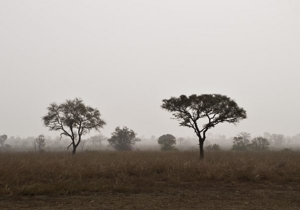 Safari en Afrique : Pandjari, nord-ouest du Bénin